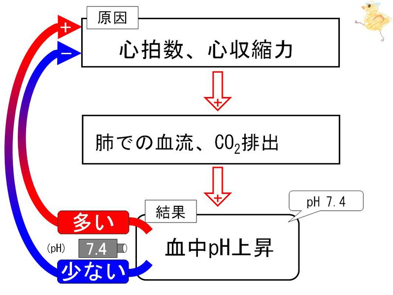 ファイル:02233.jpg