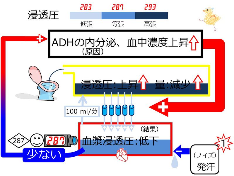 ファイル:04000.jpg
