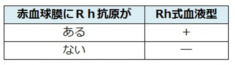 ファイル:04530.jpg