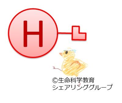連結器_水素.jpg