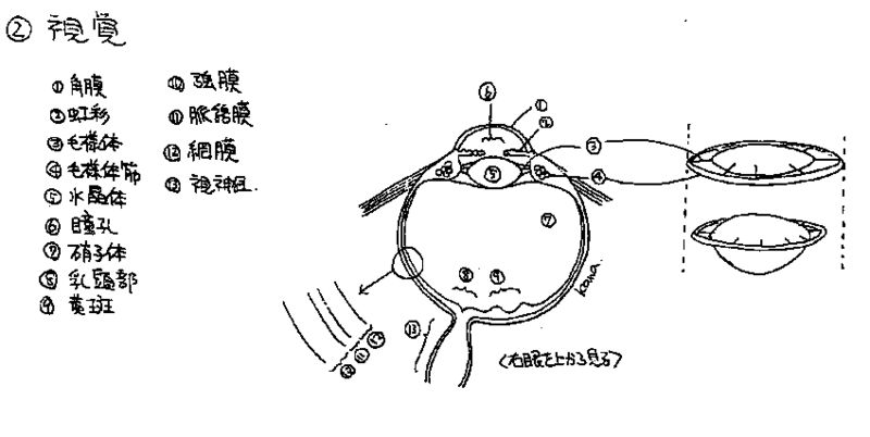 ファイル:00724.jpg