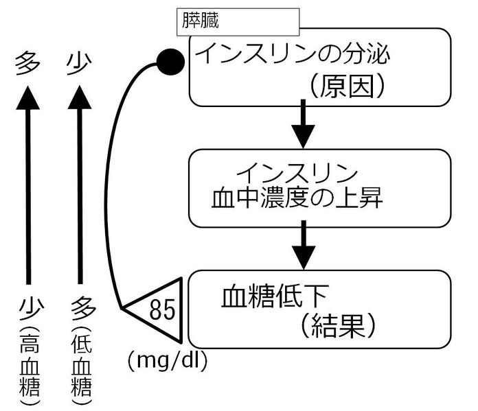 ファイル:01369.jpg
