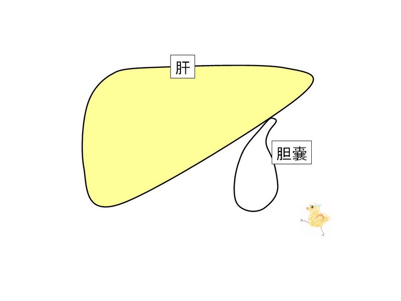ファイル:01473.jpg