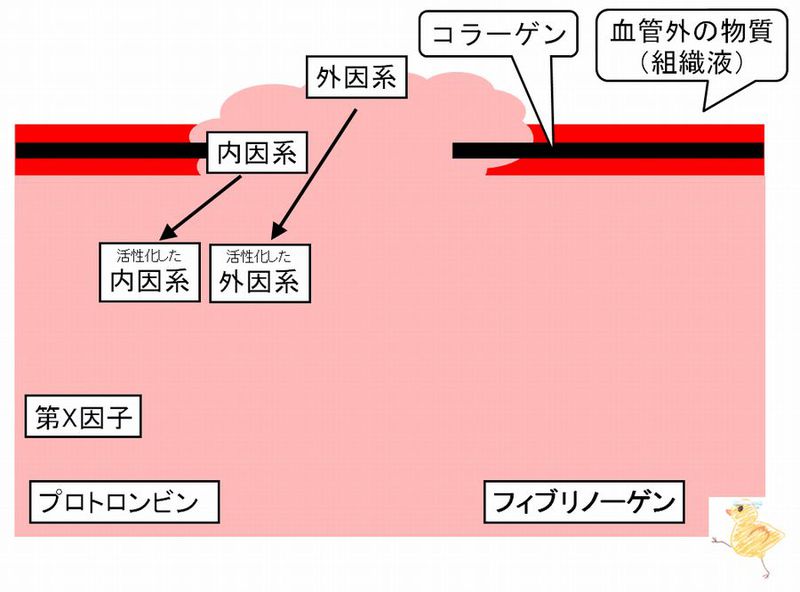 ファイル:03015.jpg