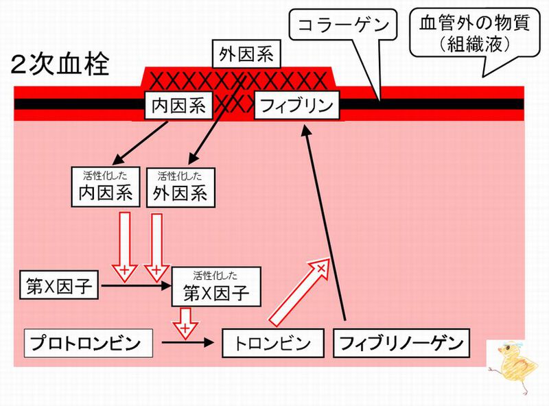 ファイル:03018.jpg
