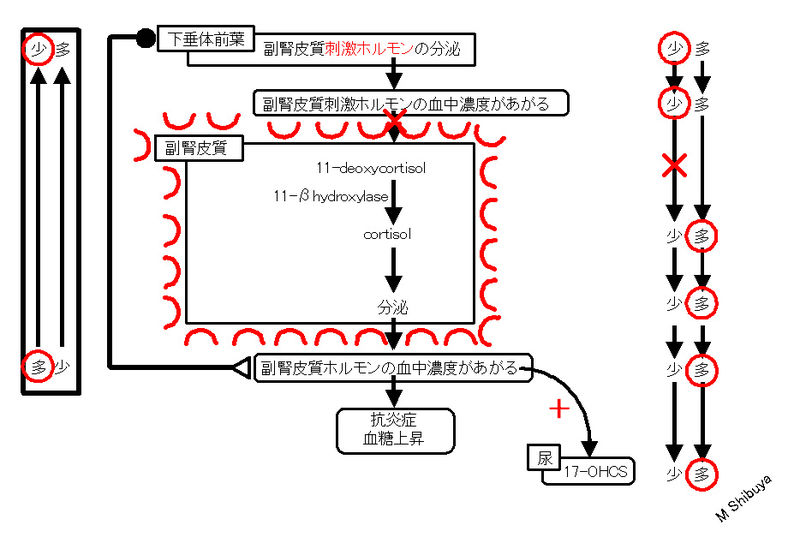 ファイル:00804.jpg