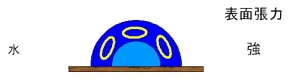 Water-no-surfactant.jpg