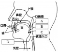 /wiki/images/thumb/8/8f/%E5%9A%A5%E4%B8%8B%E3%81%AE%E5%9B%B3.jpg/120px-%E5%9A%A5%E4%B8%8B%E3%81%AE%E5%9B%B3.jpg
