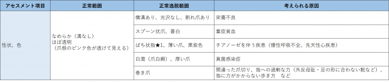 ファイル:表-皮膚爪-視診2-爪のアセスメント事項.jpg