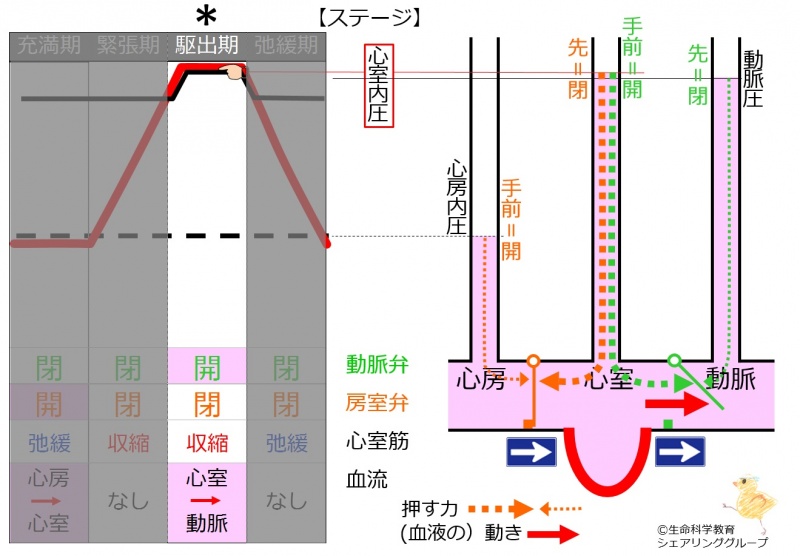 ファイル:駆出期.jpg