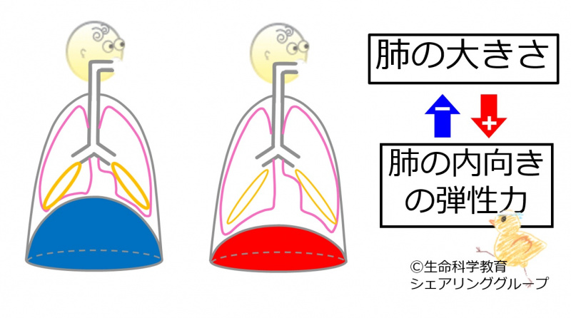 ファイル:04043.jpg