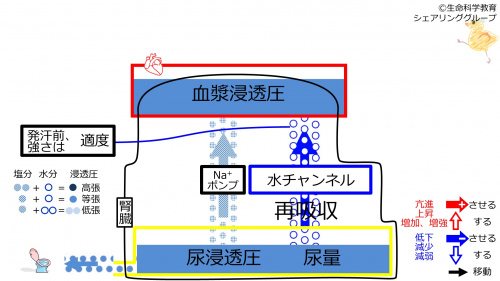6-incChannel-sweatingeffect1-2020.jpg
