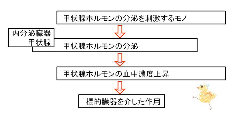 ファイル:02526.jpg