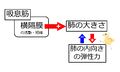 04044.jpg