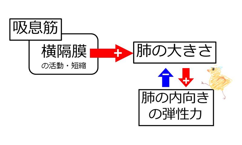 ファイル:04044.jpg