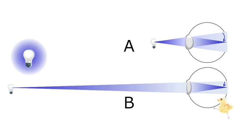 ファイル:04484-wb.jpg