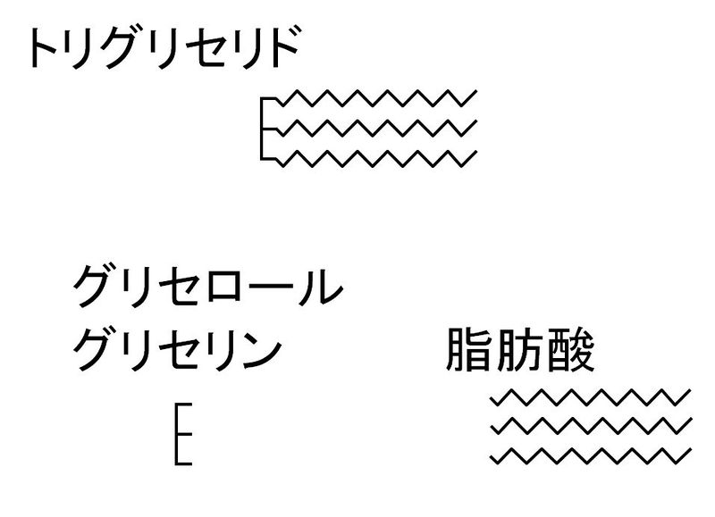 ファイル:01463.jpg