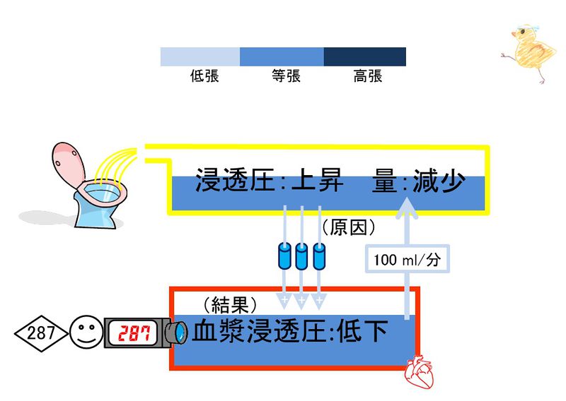 ファイル:03929.jpg