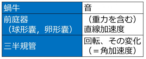内耳の機能概略.jpg