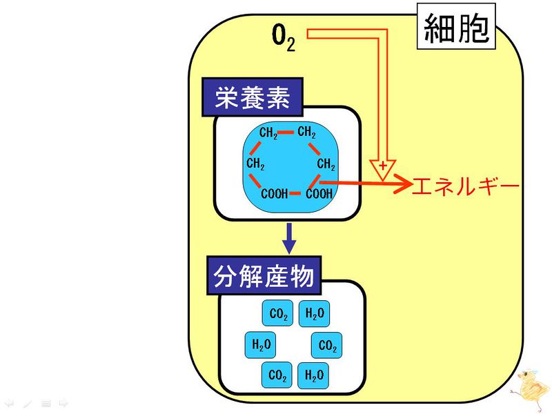 ファイル:01990.jpg