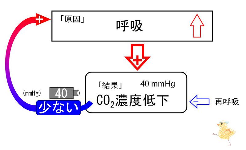 ファイル:02088.jpg