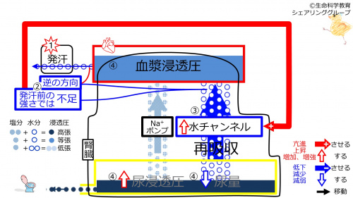 6-sweatChannel-control2-2020.jpg