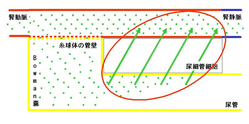 ファイル:00277.jpg