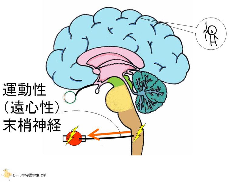 ファイル:01399.jpg
