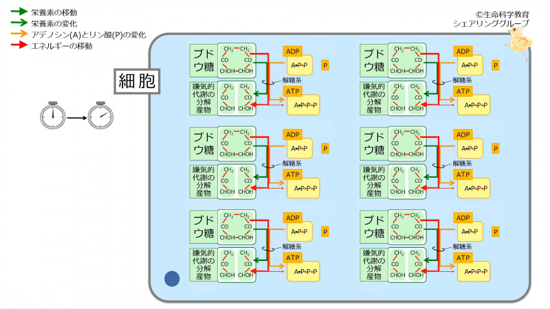 ファイル:04183-wb.jpg