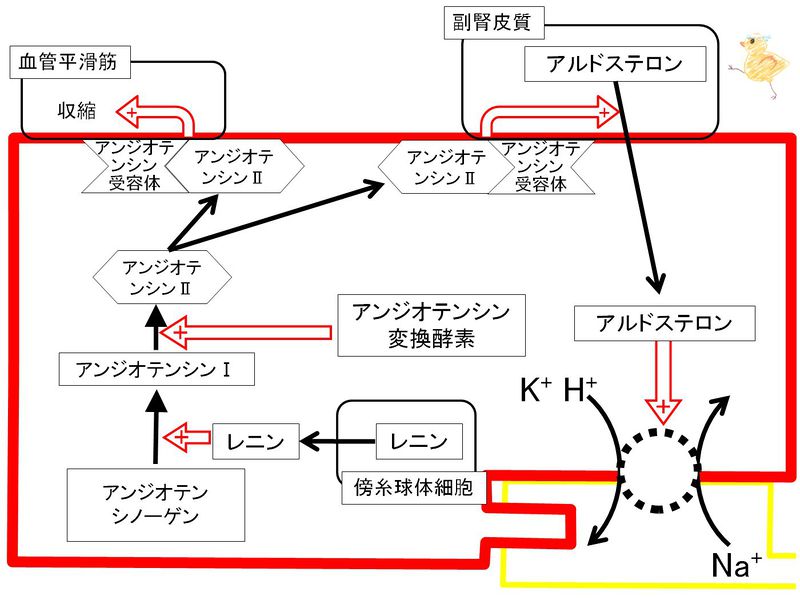 ファイル:00720.jpg