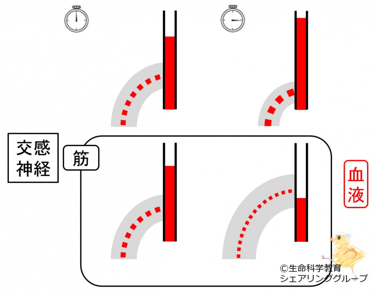 ファイル:02997-wb.jpg
