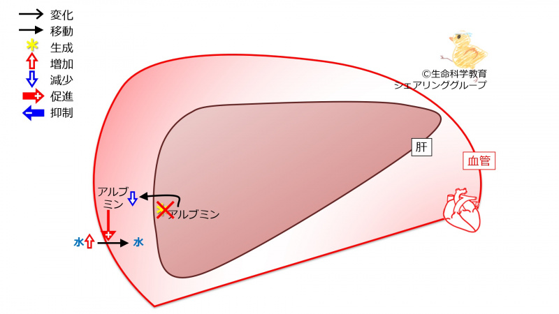 ファイル:03868.jpg