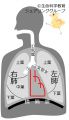 2024年1月6日 (土) 16:34時点における版のサムネイル