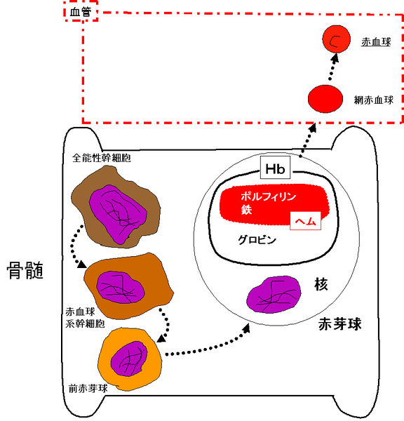ファイル:00388.jpg
