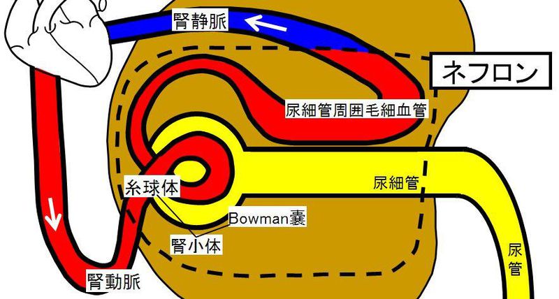 ファイル:02749.jpg
