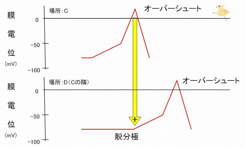 ファイル:03022.jpg