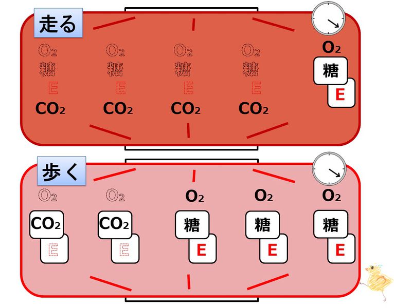 ファイル:04440.jpg
