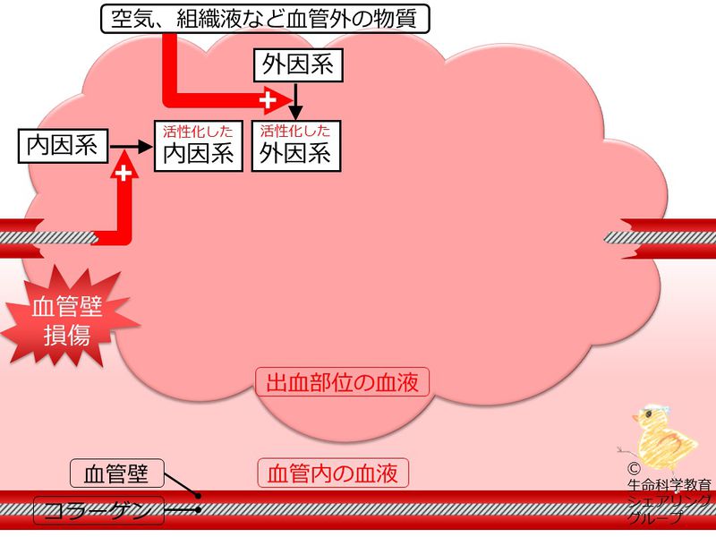 ファイル:04699.jpg