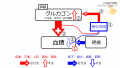 2021年11月23日 (火) 10:05時点における版のサムネイル