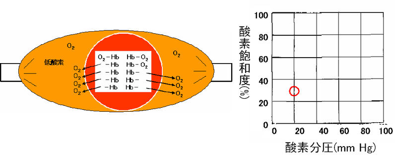 ファイル:00355.jpg