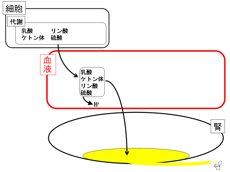 ファイル:01076.jpg