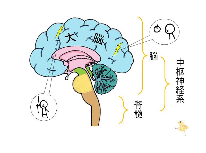 ファイル:03243.jpg
