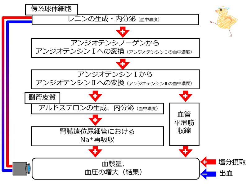ファイル:04008.jpg
