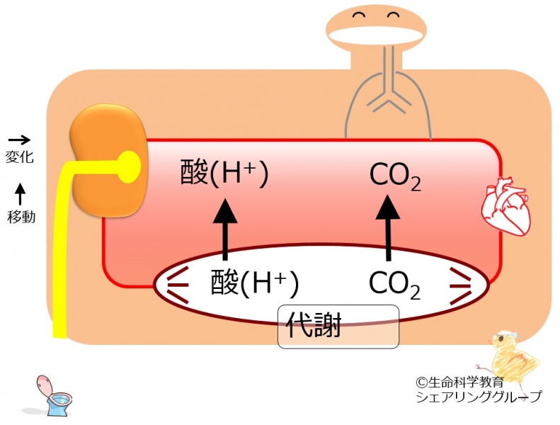 ファイル:04376.jpg