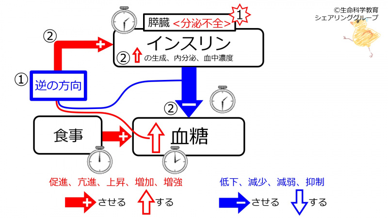 ファイル:PancreasInsufficiency.jpg