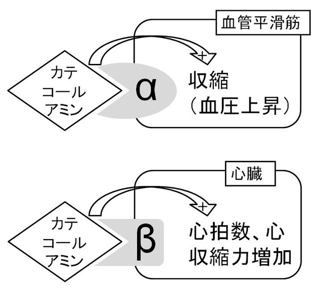 ファイル:02538.jpg