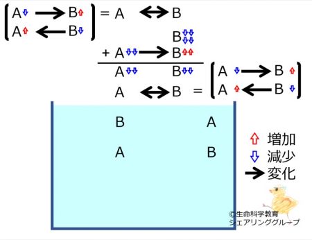 ChemicalEquilibriumChangesByDecInMolB-4.jpg