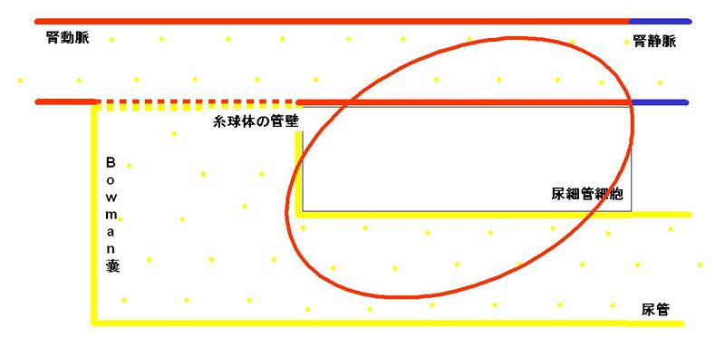 ファイル:00289.jpg