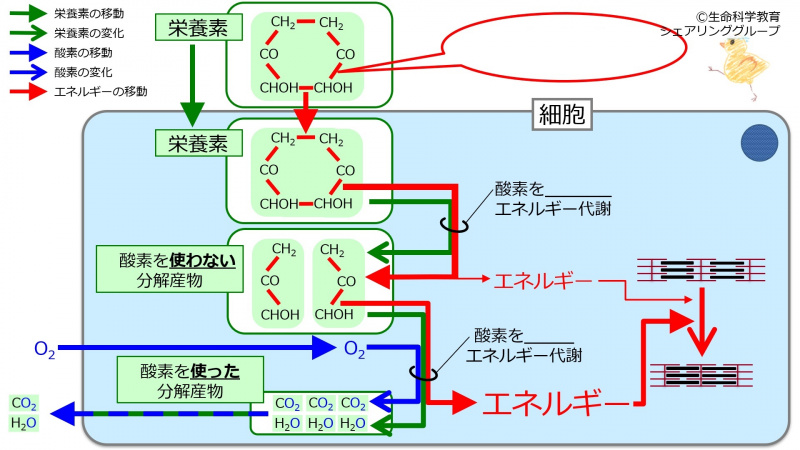ファイル:04730-wb.jpg
