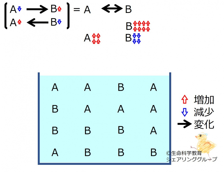 ファイル:ChemicalEquilibriumChangesByIncInMolB-3-wb.jpg